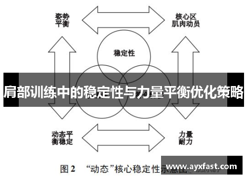 肩部训练中的稳定性与力量平衡优化策略